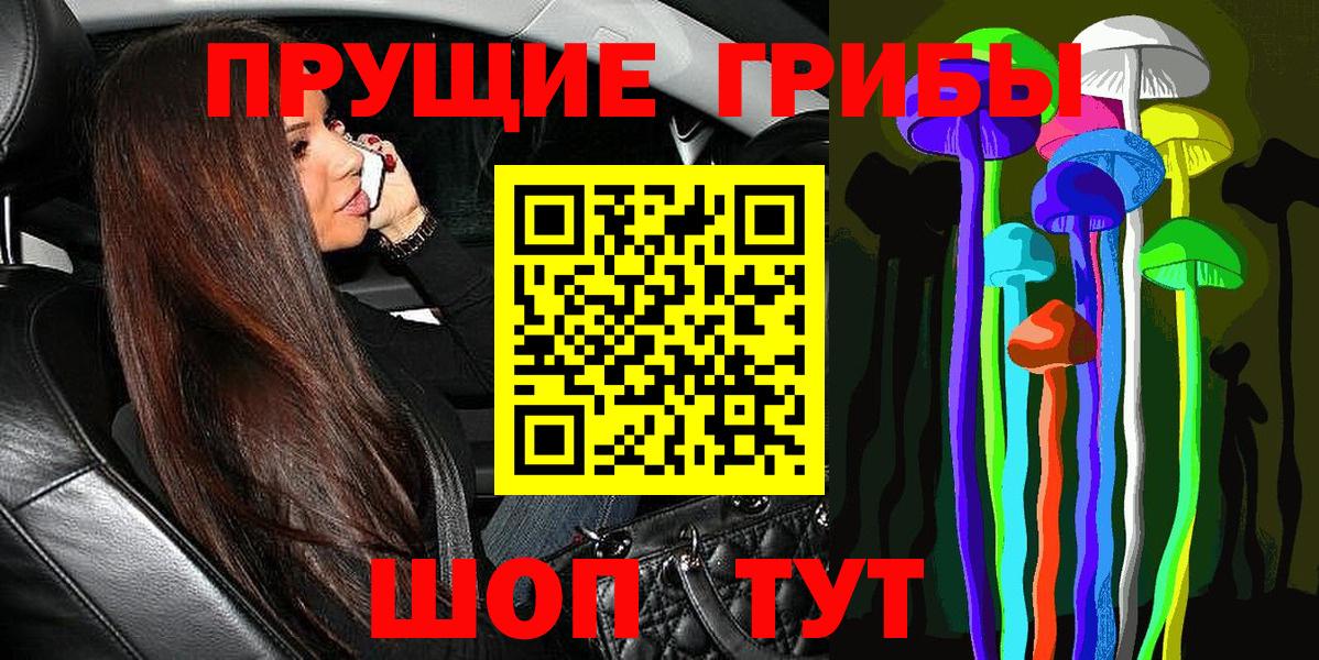 Галлюциногенные грибы Psilocybe Истра