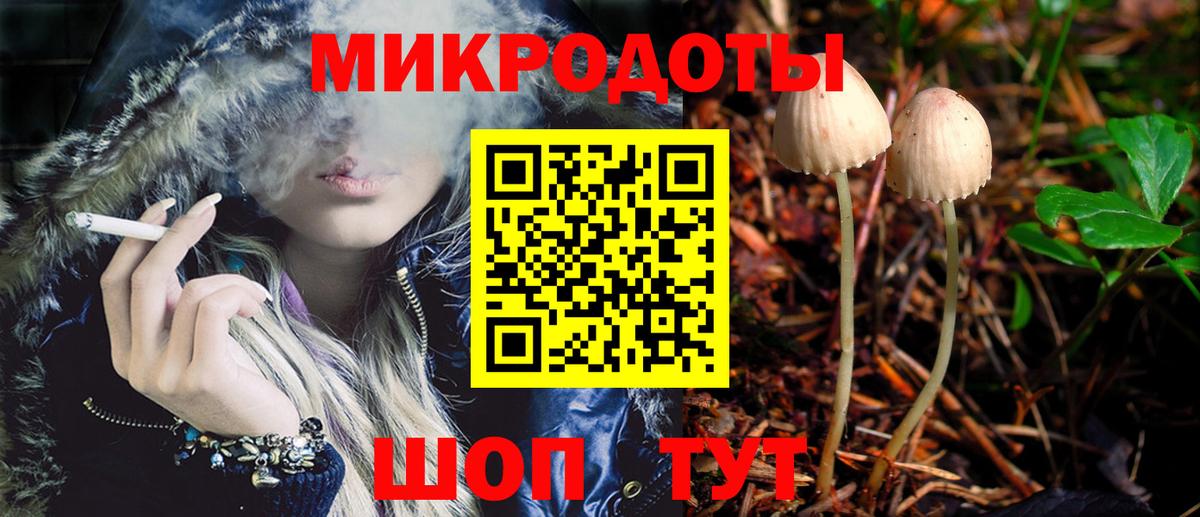 ГАШ Истра