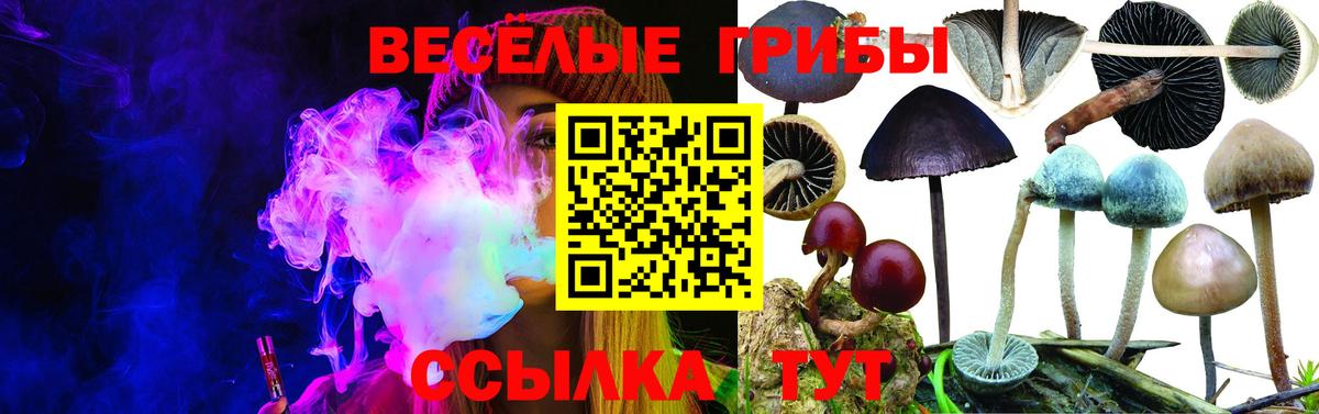 Истра  Галлюциногенные грибы мицелий  Вход с VPN  купить наркотик  Псилоцибиновые грибы мицелий 